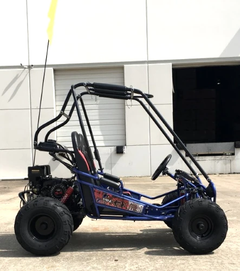 13.6TrailMasterMiniXRXRPlus_o_1024x10242x_240x_ac267837-7287-4e37-bb15-e22d9353903e trailmaster mini xrx+ 2 seater go kart eagle series 163cc blue
