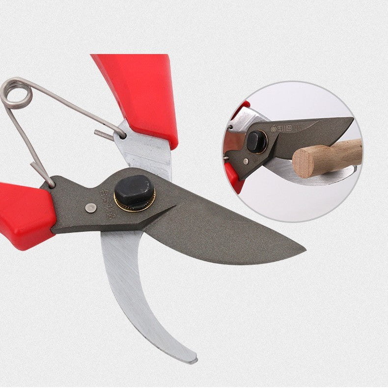 20147f27-a7dc-41fc-bbf2-7e2a010b3986 garden tools fruit tree gardening scissors