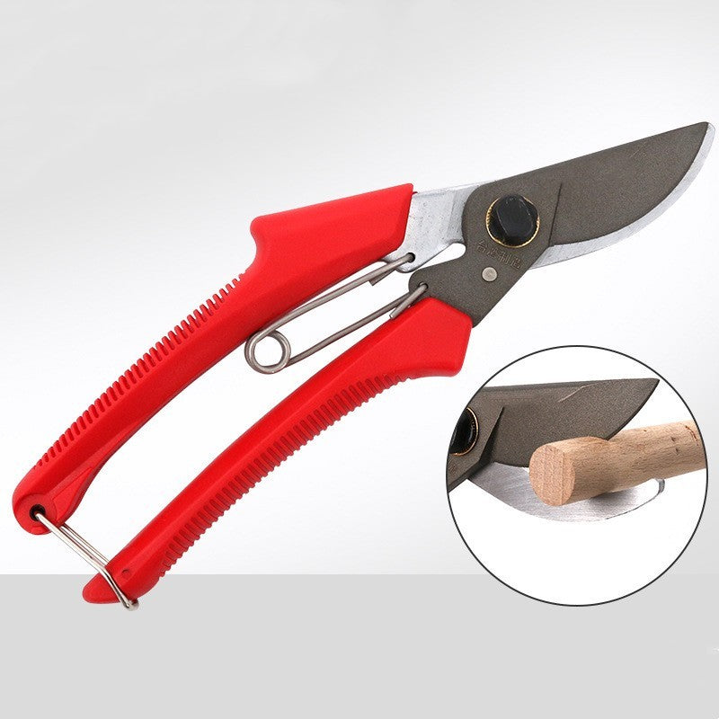 243eeb13-e249-40c0-afd7-1d834f980954 garden tools fruit tree gardening scissors
