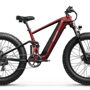 puckipuppy goldenr dual motor e bike