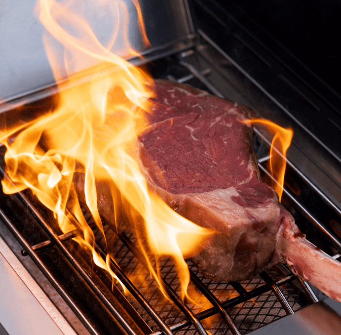 e monument grills eminence 605 advanced stainless natural/propane gas grill eminence 605